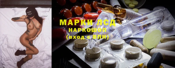 ГАЛЛЮЦИНОГЕННЫЕ ГРИБЫ Алзамай
